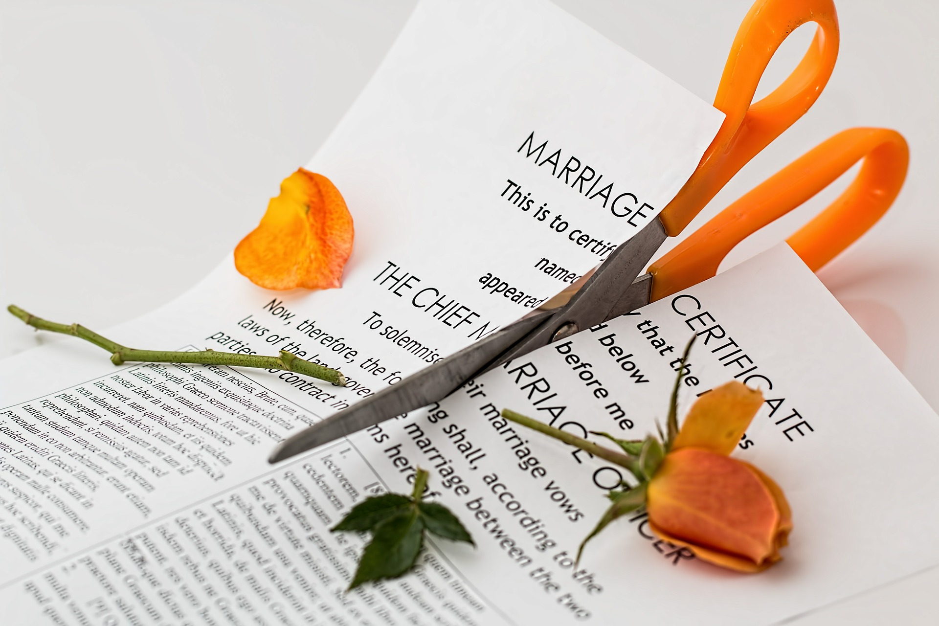 bankruptcy-and-divorce